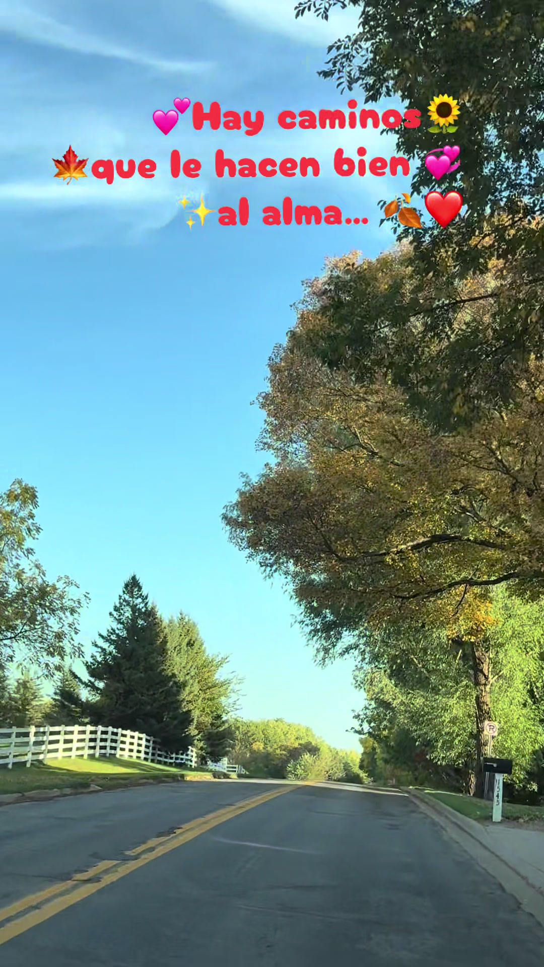 @🍂🍁🌻OTO&Ntilde;O 🌻🍂🍁