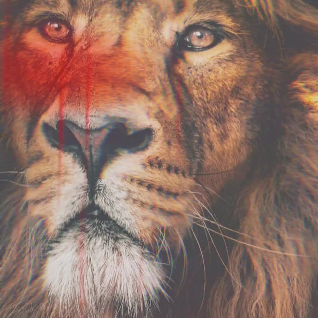 @𝕷𝖎𝖔𝖓-𝖌𝖎𝖗𝖑 🦁