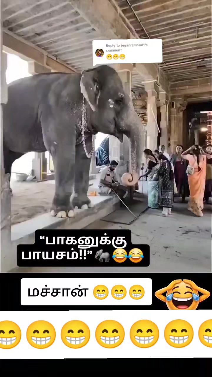 @பேப்பர் ஐடி    248 🌹1