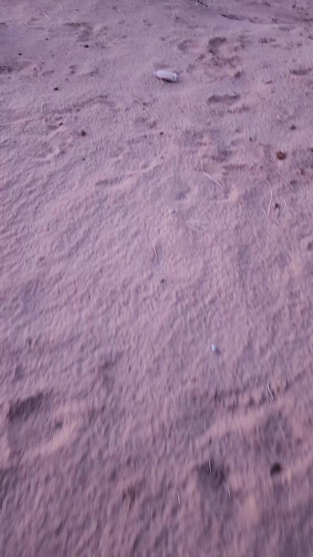 @عبدالله الشراري