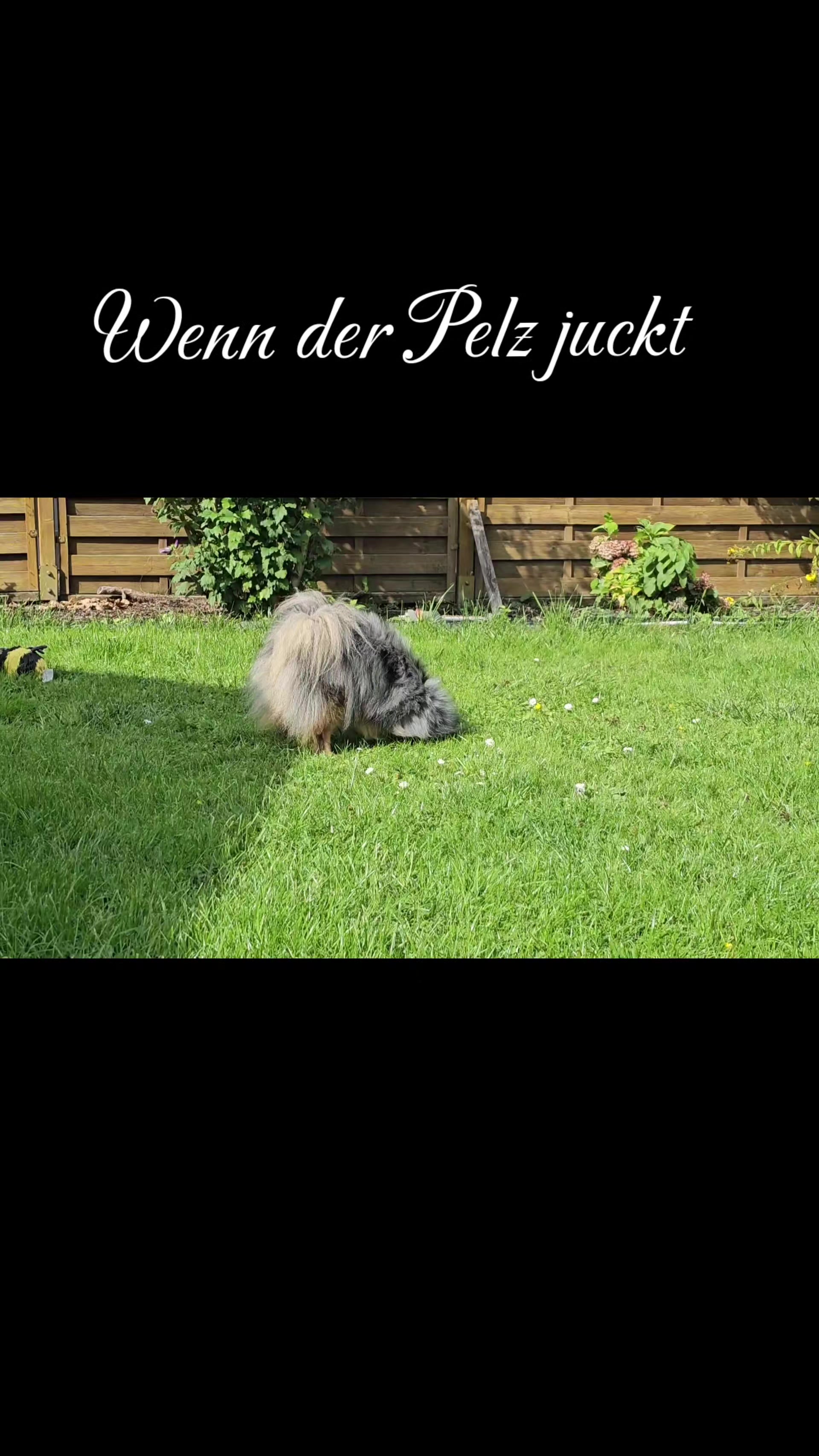 @Jörg Grönke