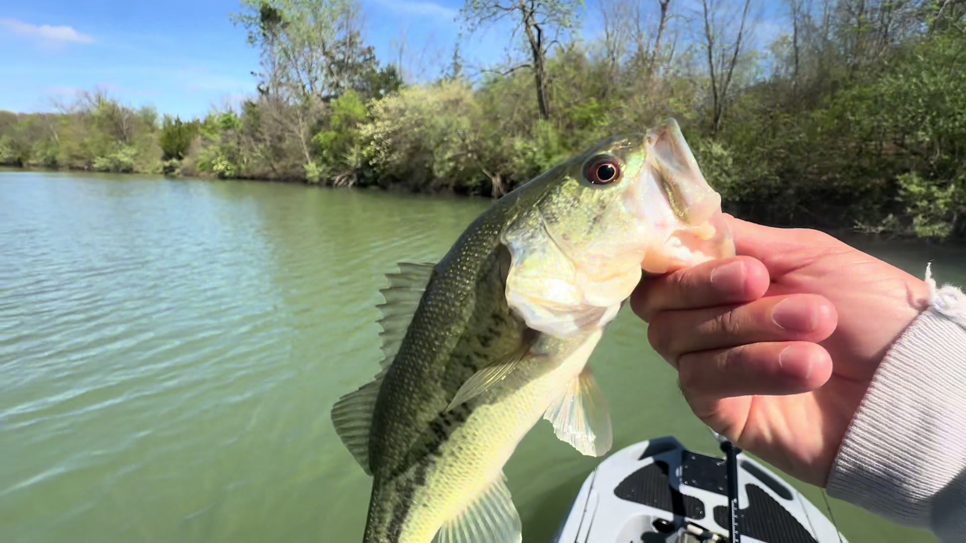 @BigBassFish