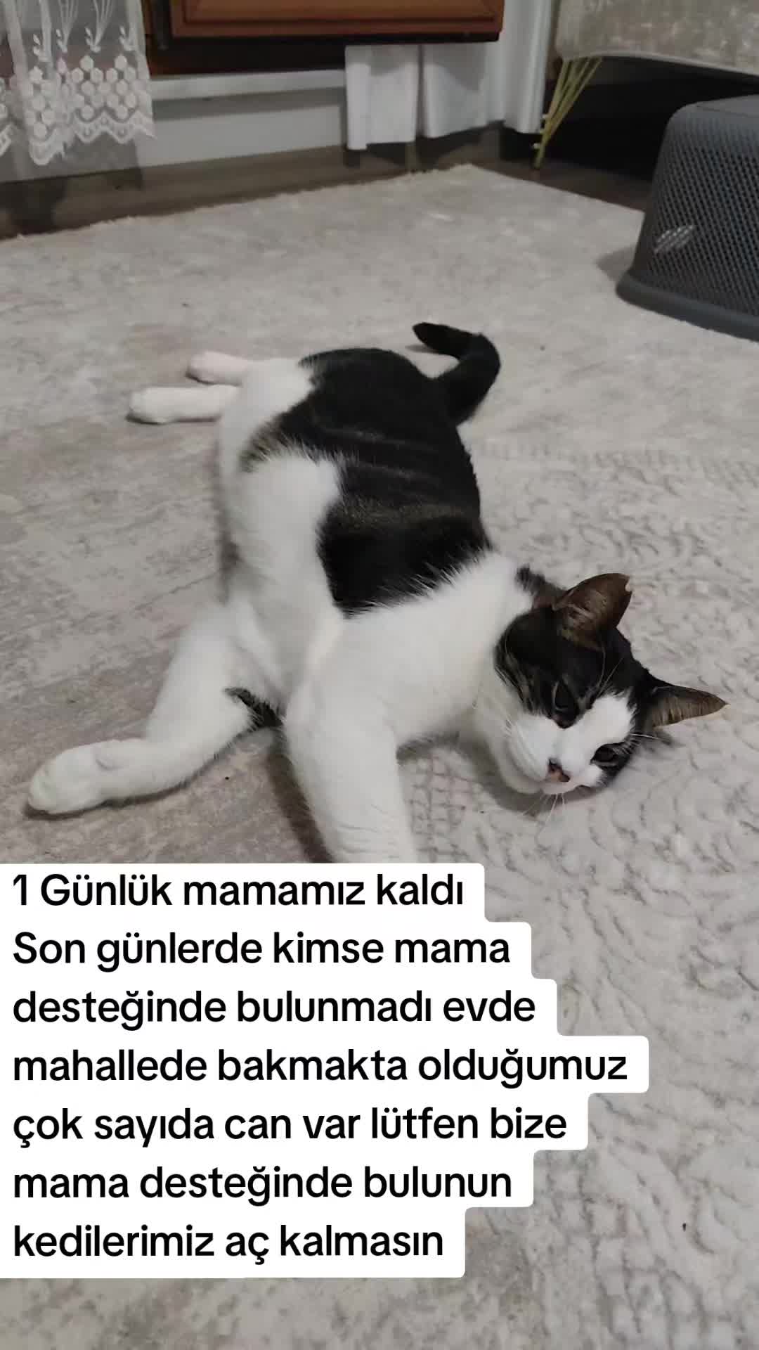 @@kedisizevolmaz