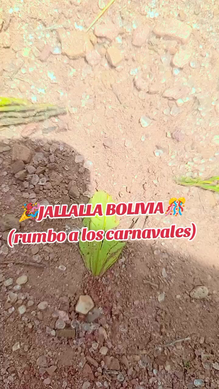@🔰🔰LOKITO_513🇨🇱315🇧🇴🔰