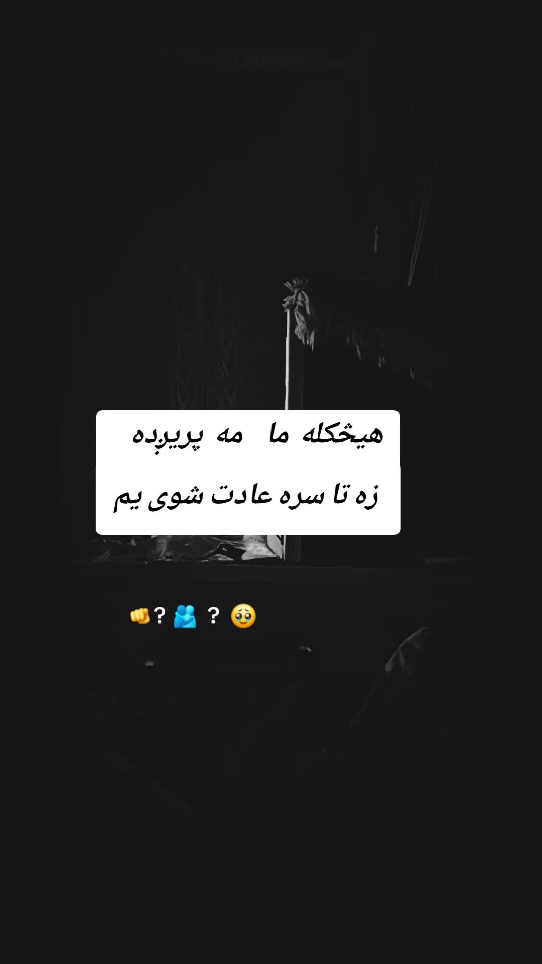 @`.`~☆~`.`