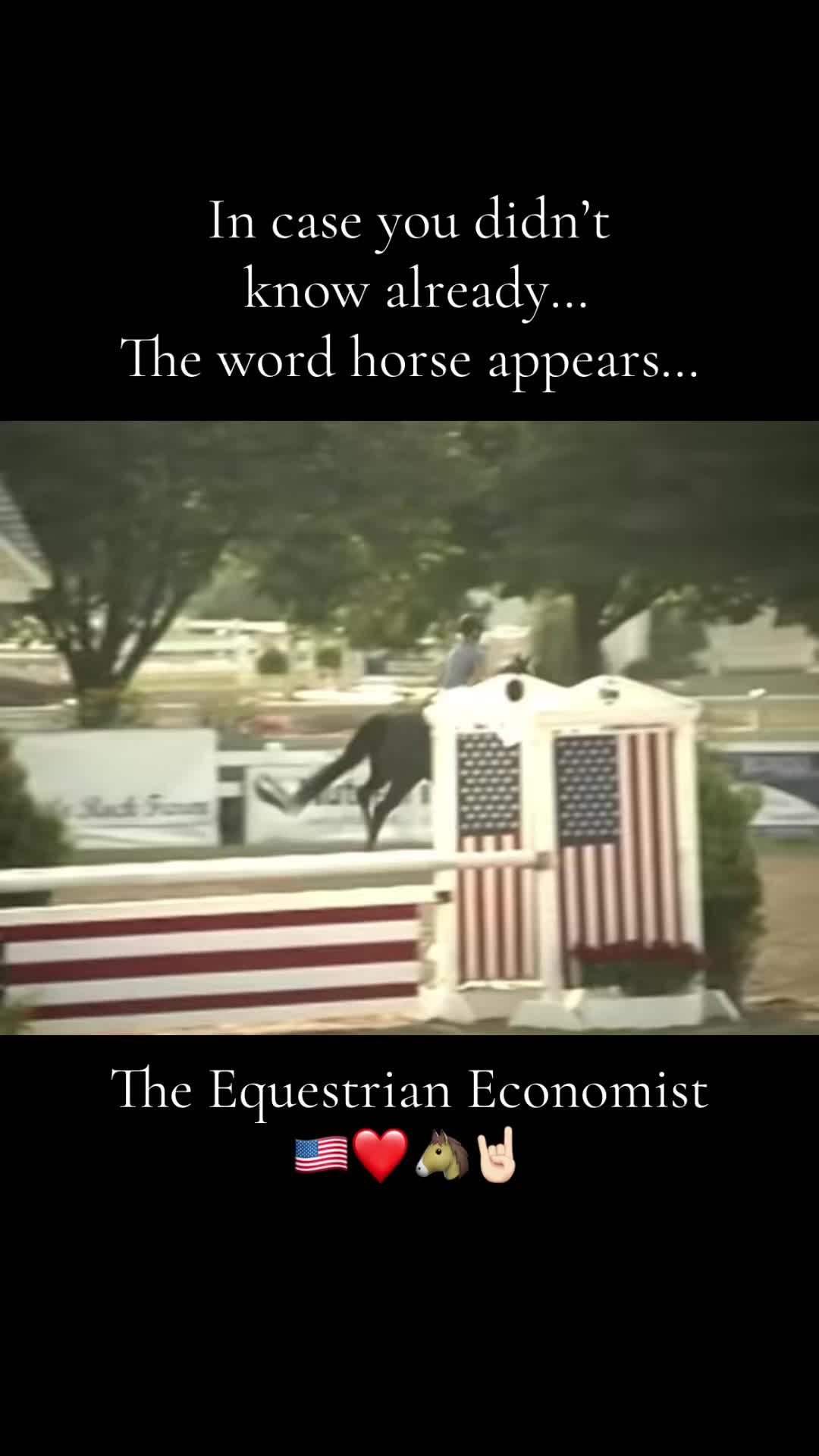 @elliemorrisequestrian