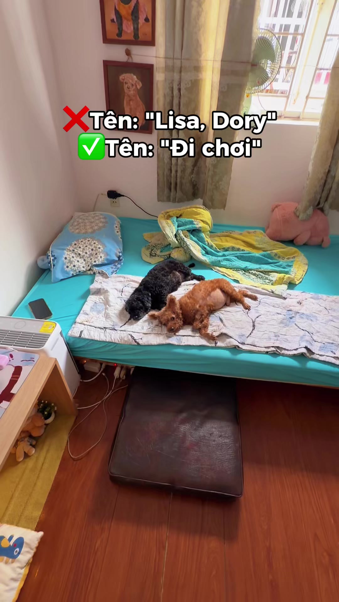 @Cái phòng nhỏ xíu