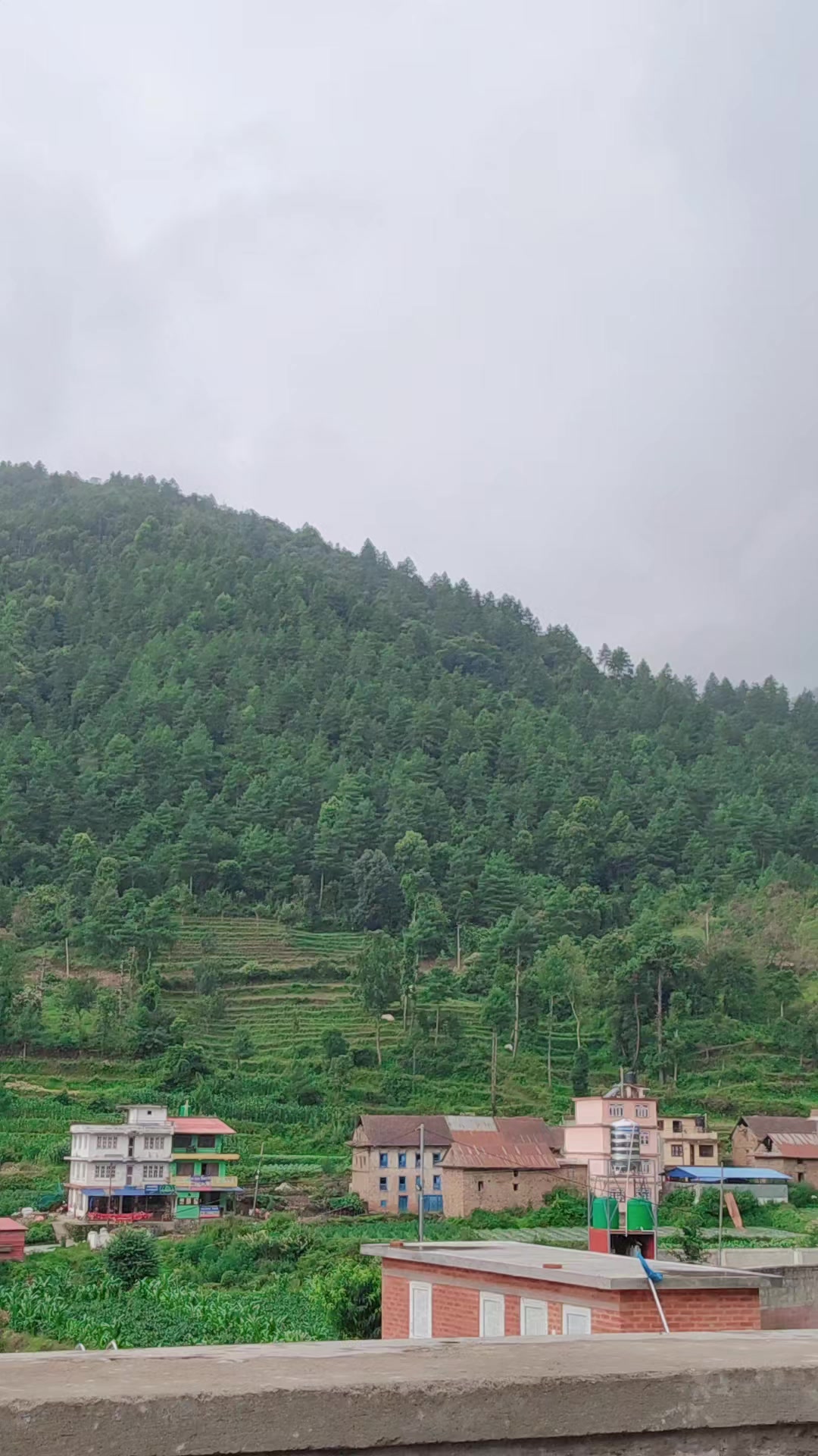 @Jani Limbu