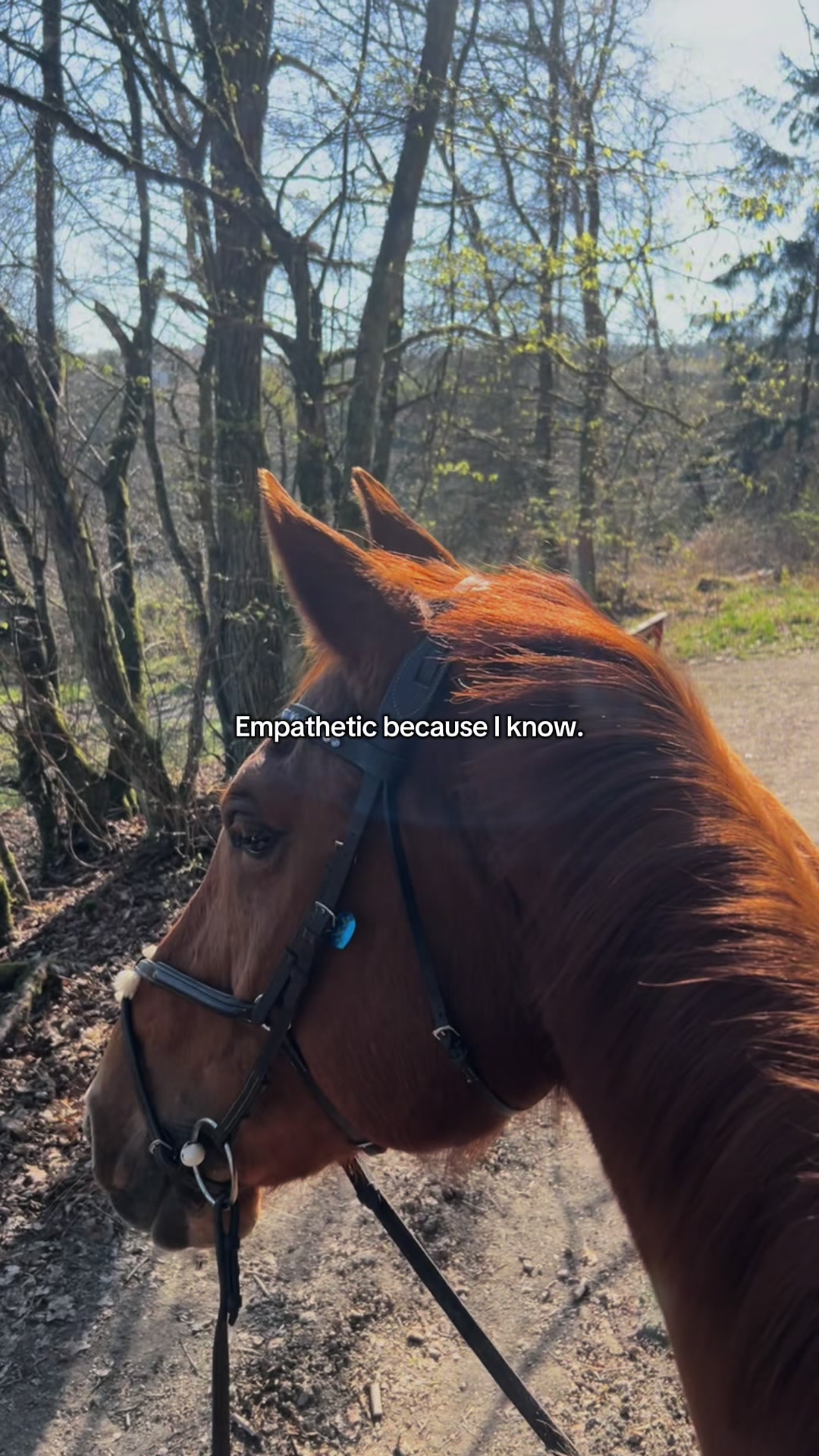 @annalisa.equestrian