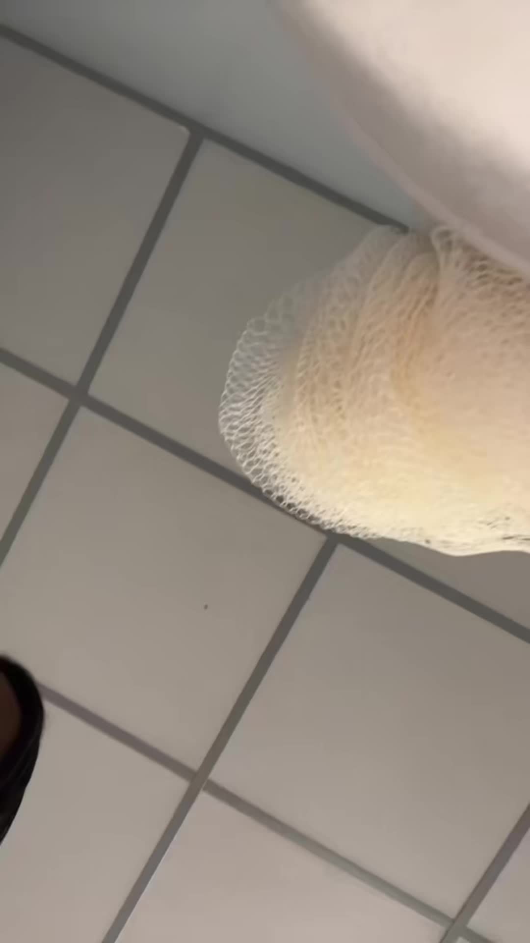@SheisBMariess