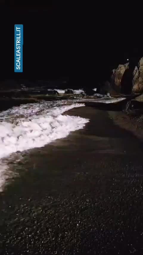 @SCALEA CALABRIA STRILL