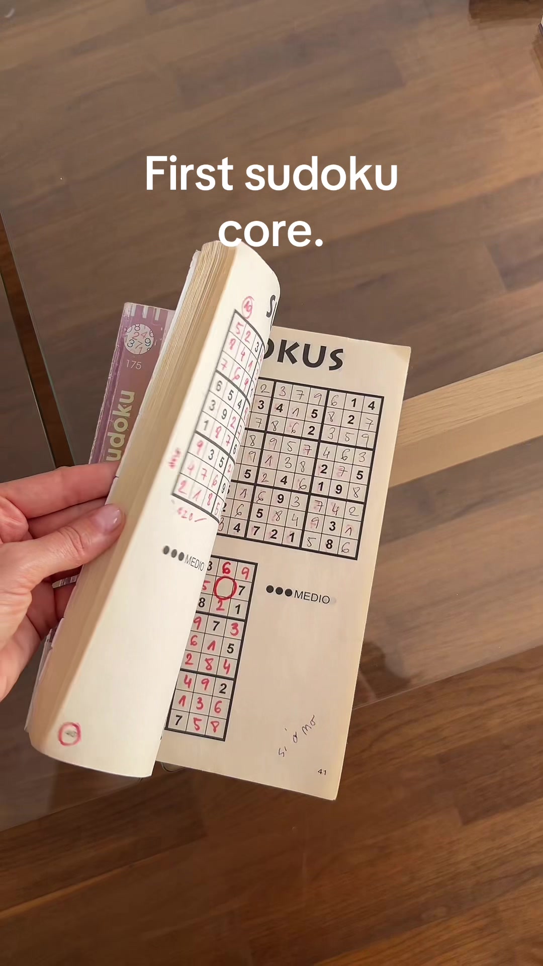 @Alsi SUDOKU