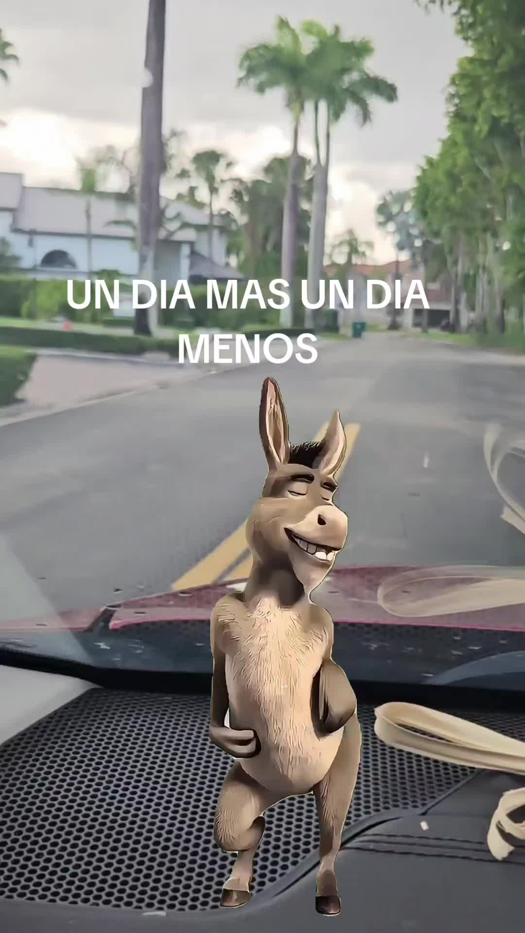 @DIOS CON MIGO
