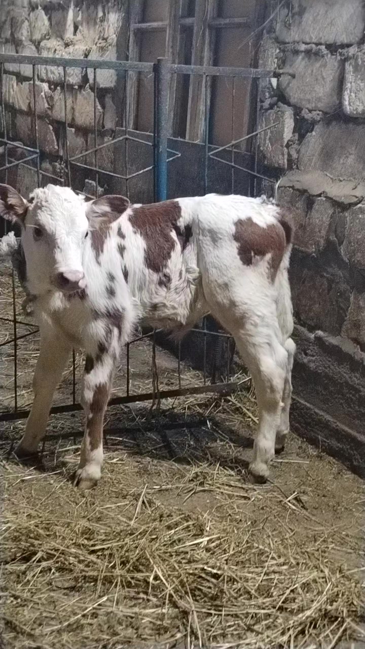 @Сарван 02