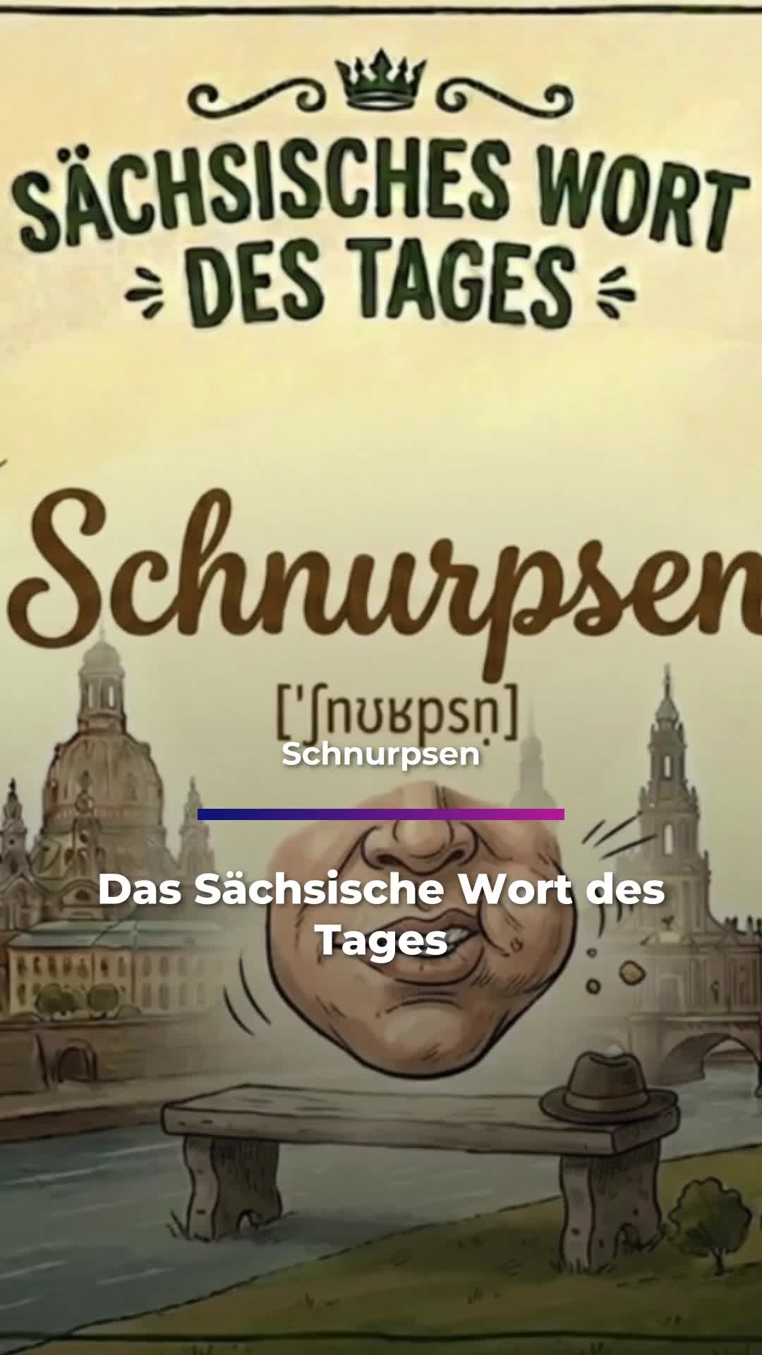 @Sachsen Fernsehen