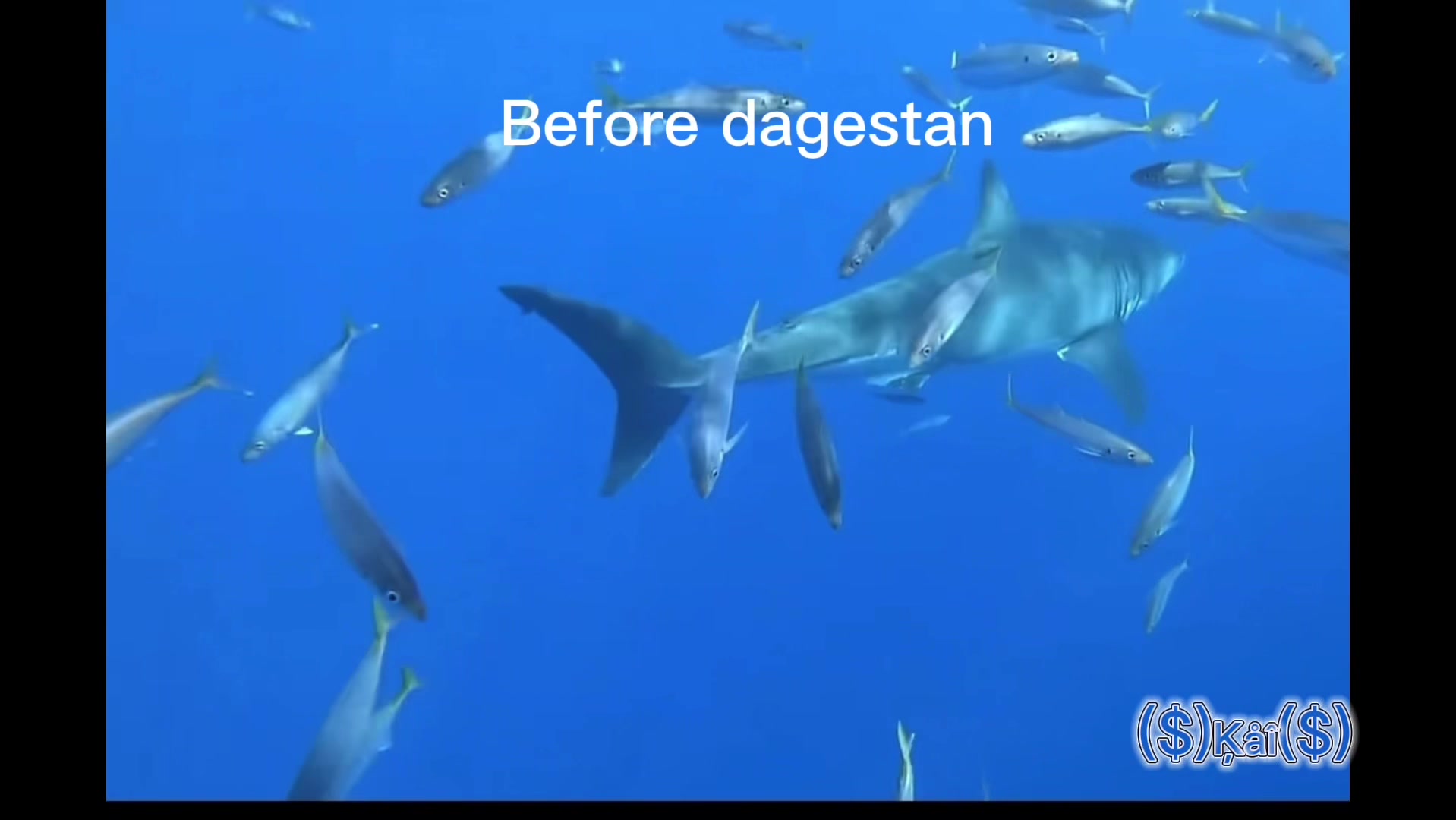 @($)Ķåî($)