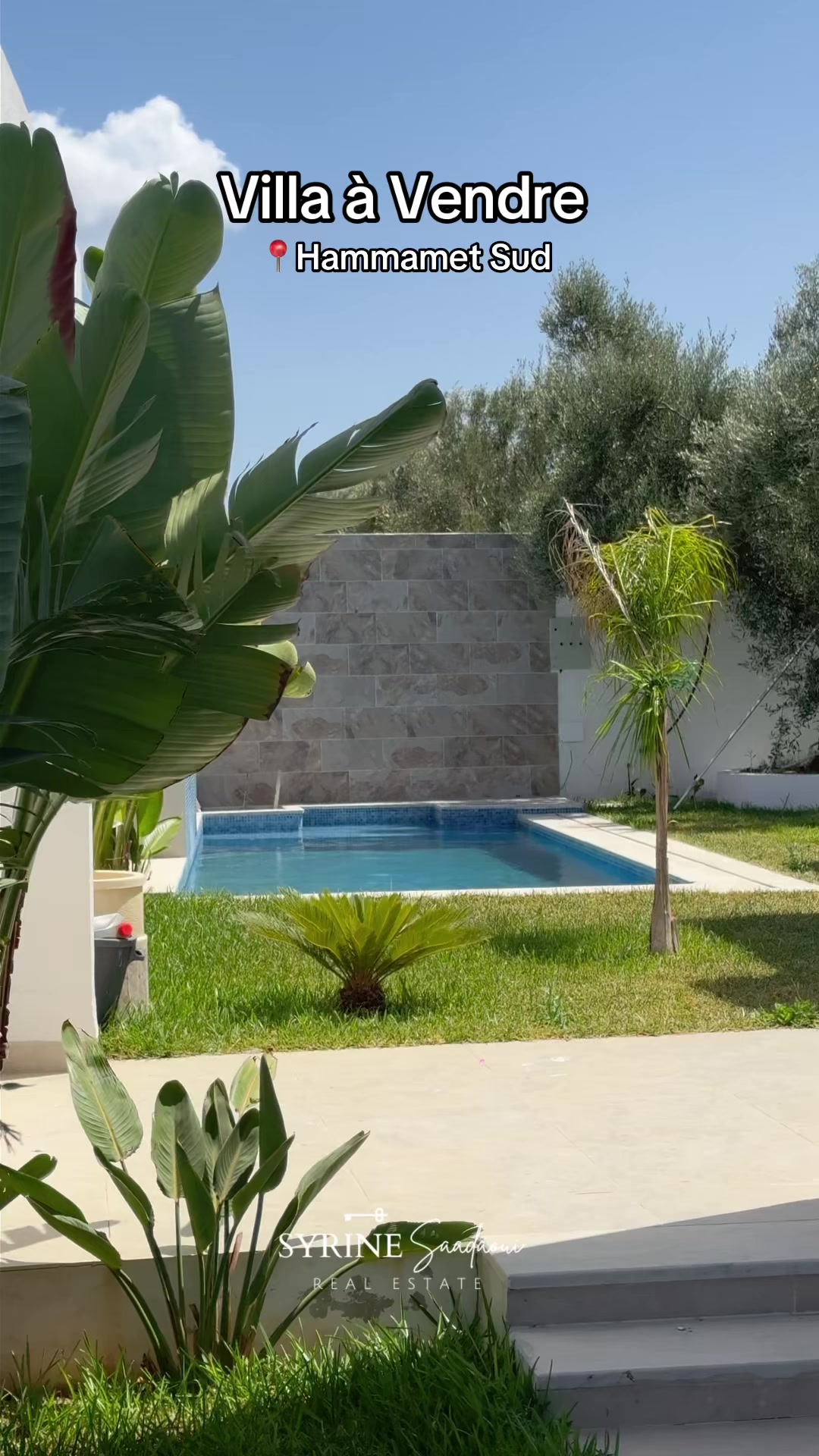 @syrina realestate