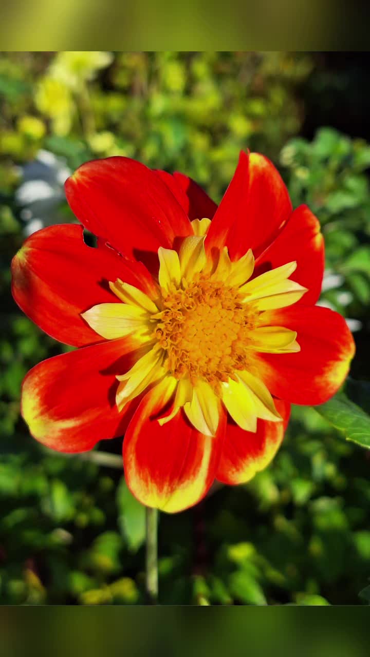 @Natur und Garten