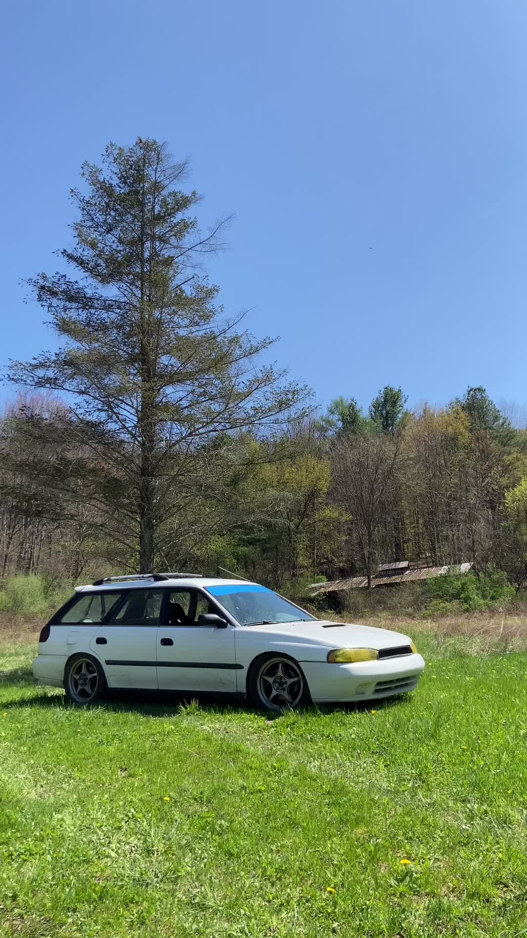 @callo.dutis
