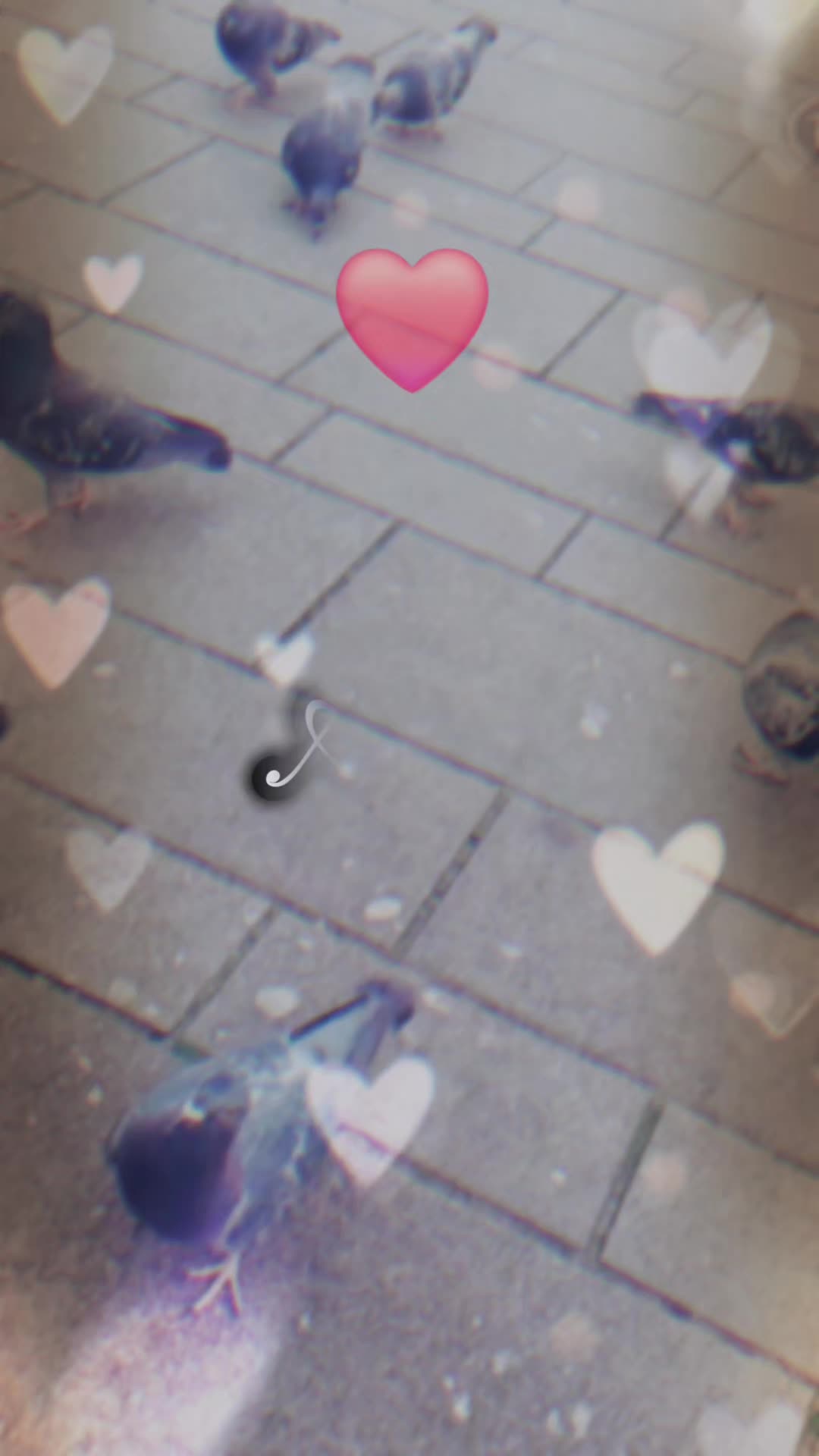 @F 🦋 l 🦋 o 🦋 r 🦋 y 🦋