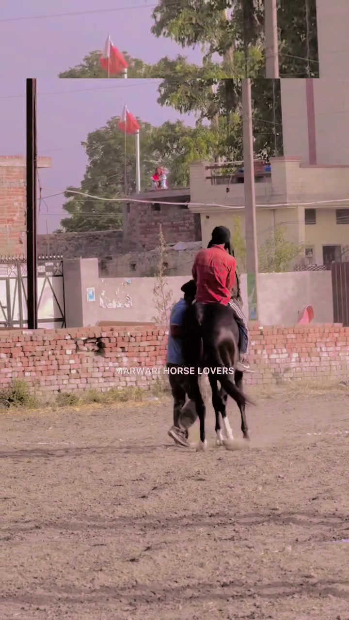 @🏇 MARWARI HORSE RACING 🏇