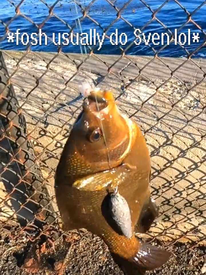@SvenGoesFishing