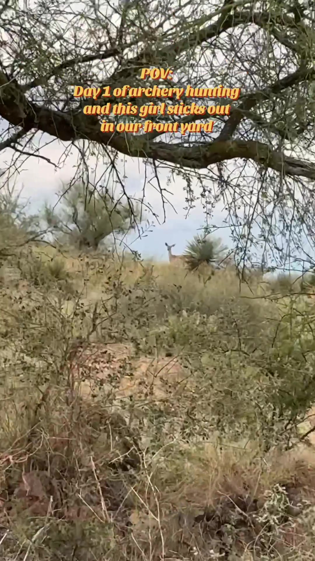 @keliisa🌵✈️