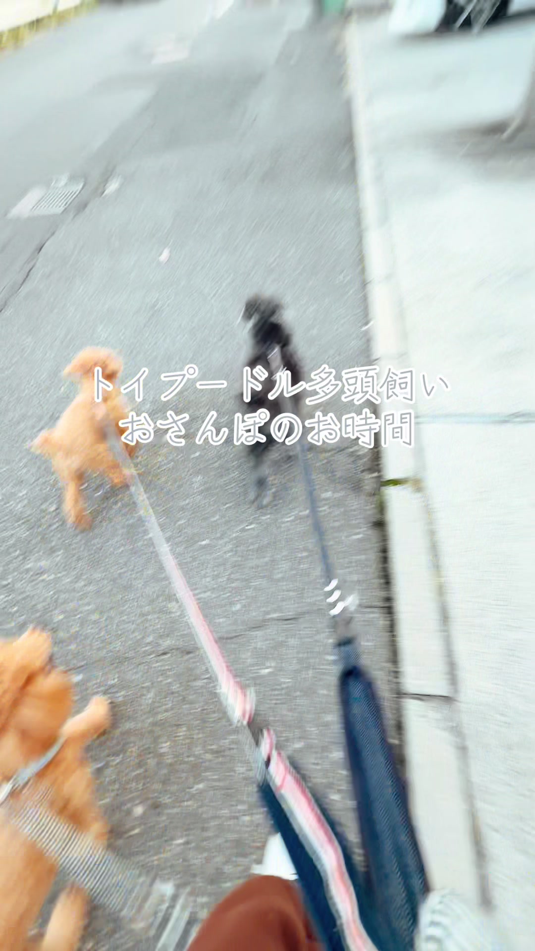 @J1n_@lancru415