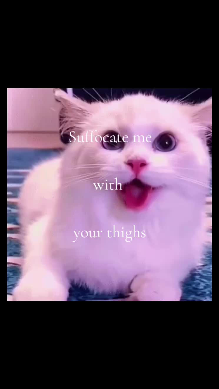 @lovaa.boy.