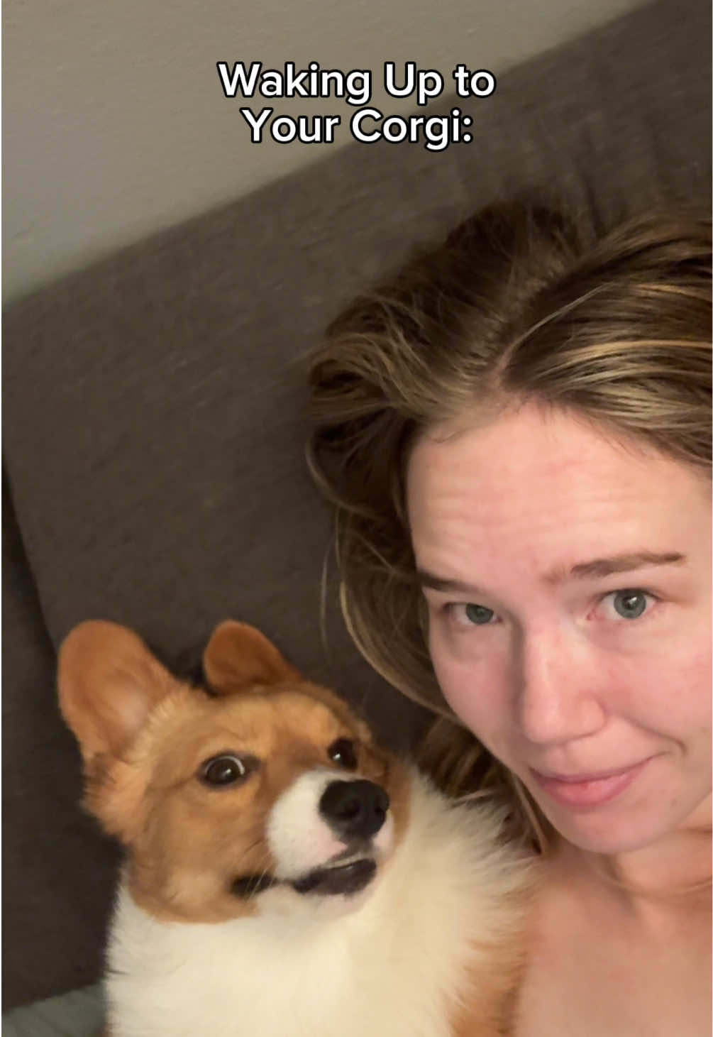 @Hope the Corgi