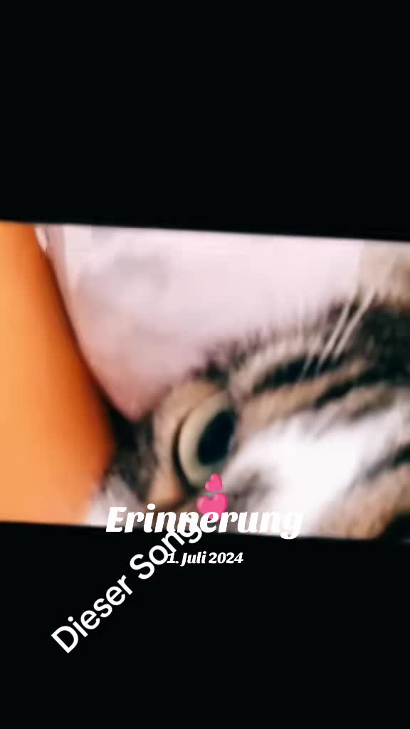 @Ossitussi1.0