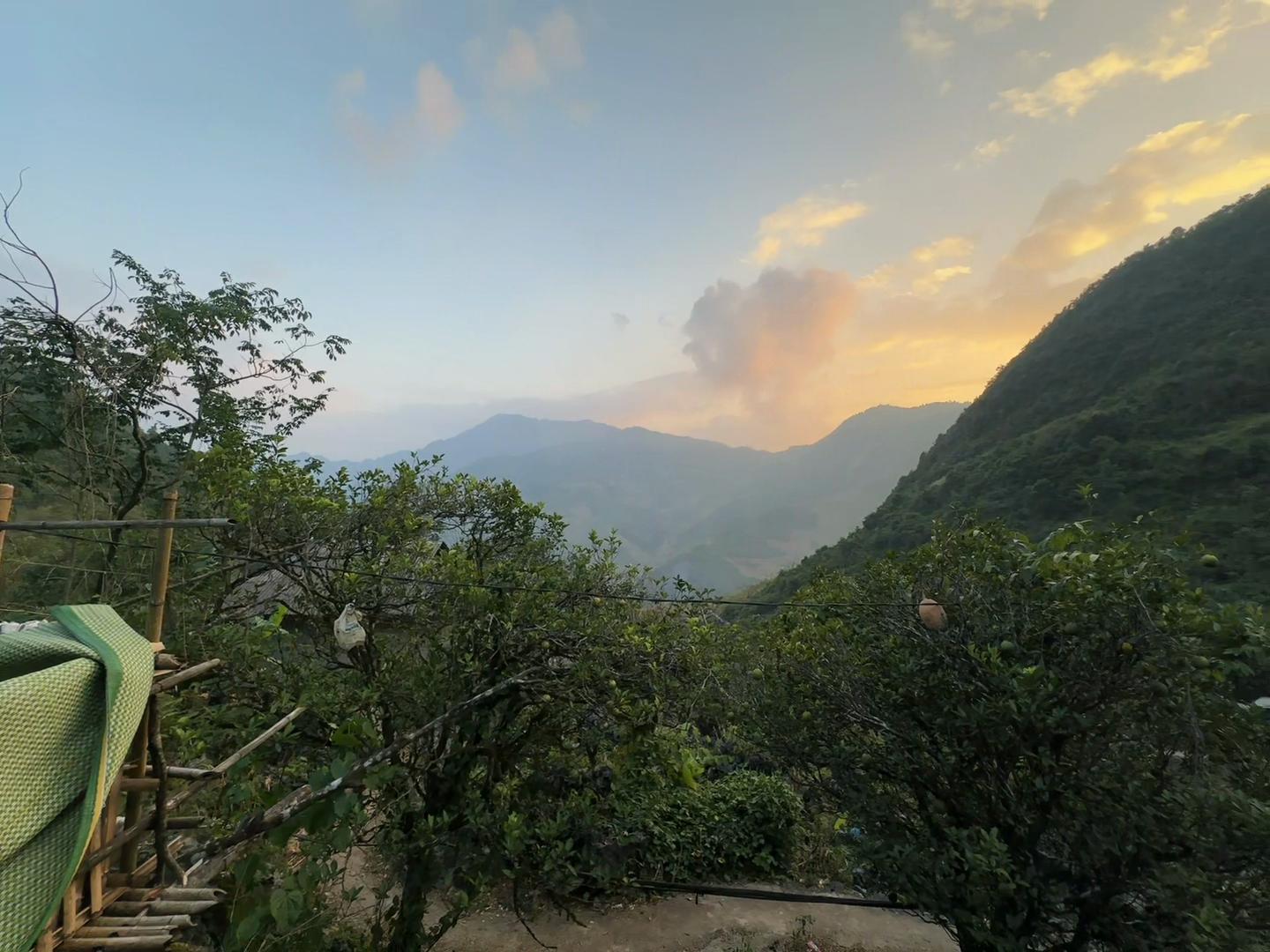 @LÍU 🇻🇳☣️