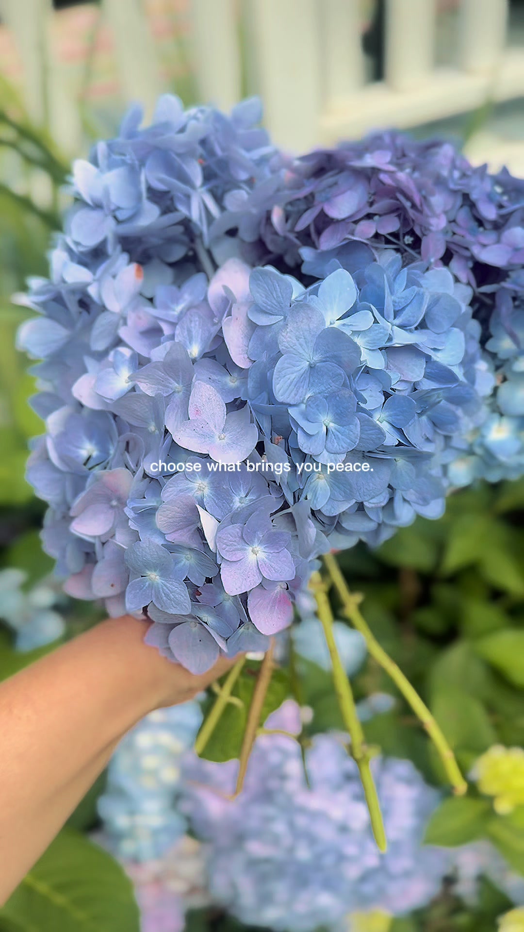 @Cottageonwynn