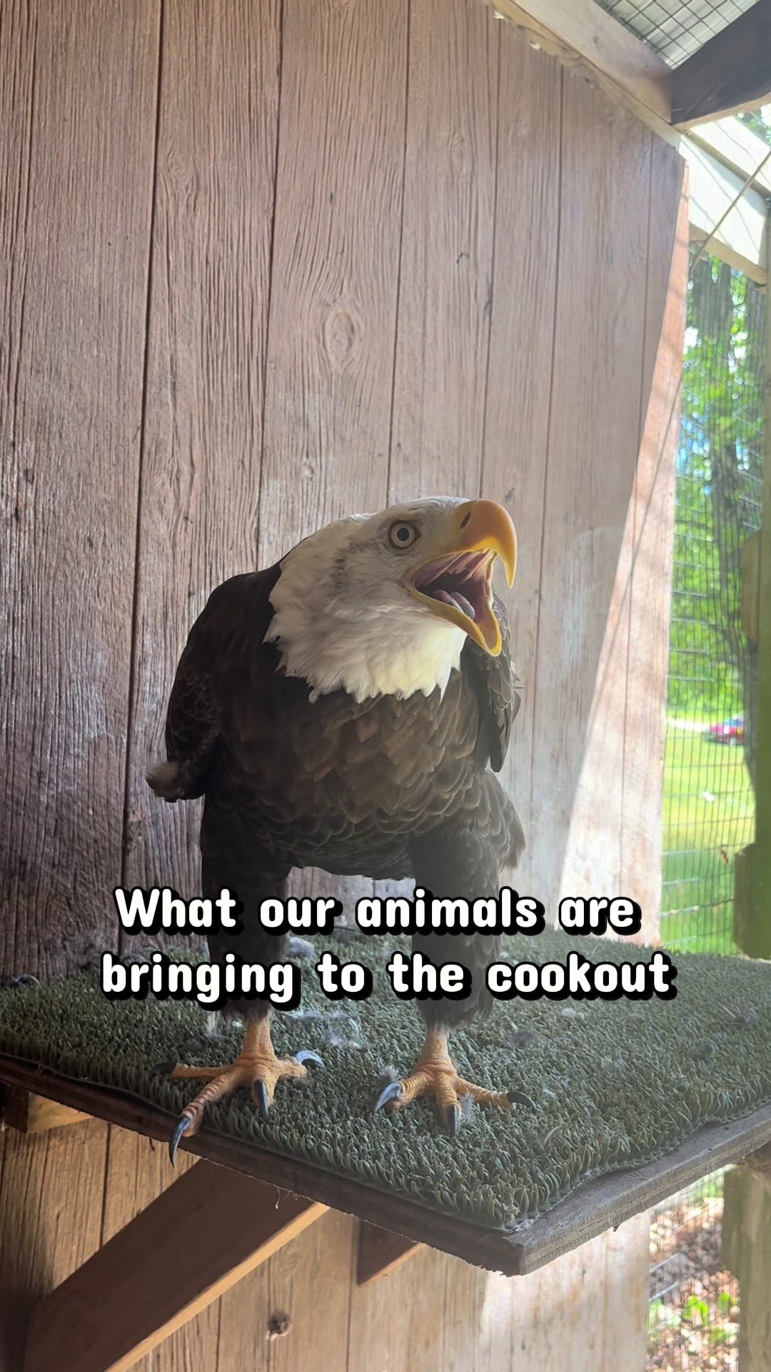 @HowellNatureCenter