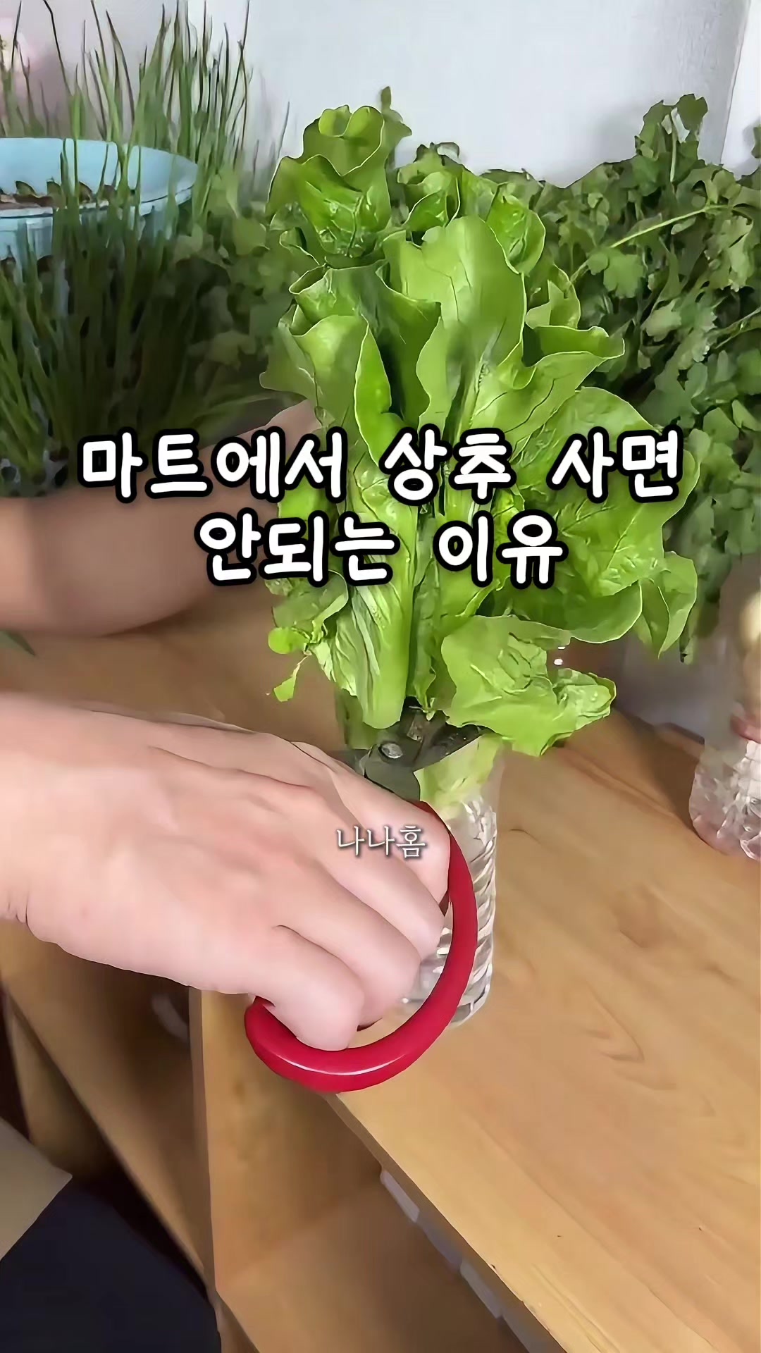@나나홈
