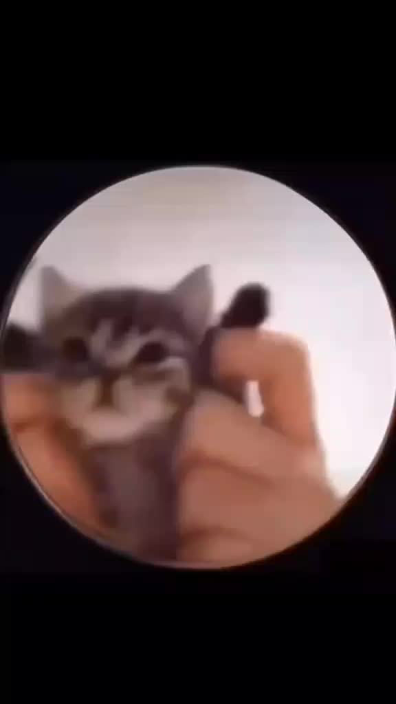 @холодильник