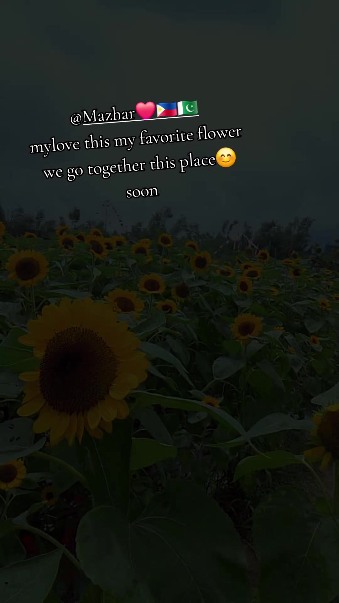 @💞💞~~(YHEN )🇵🇭 (~▽~@)♪♪♪