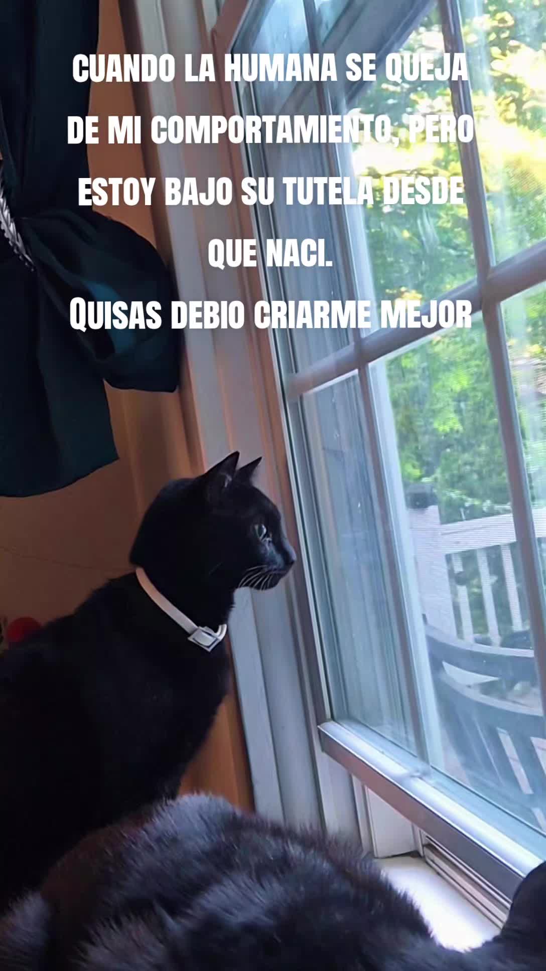 @Mey