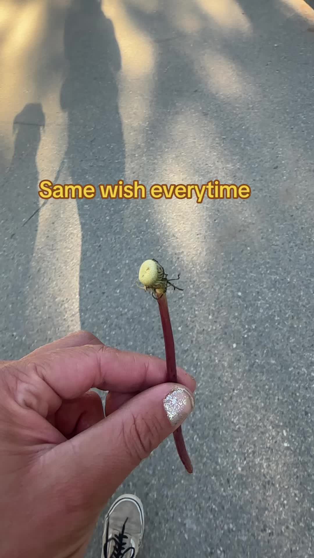 @Lavenderhazzeyy