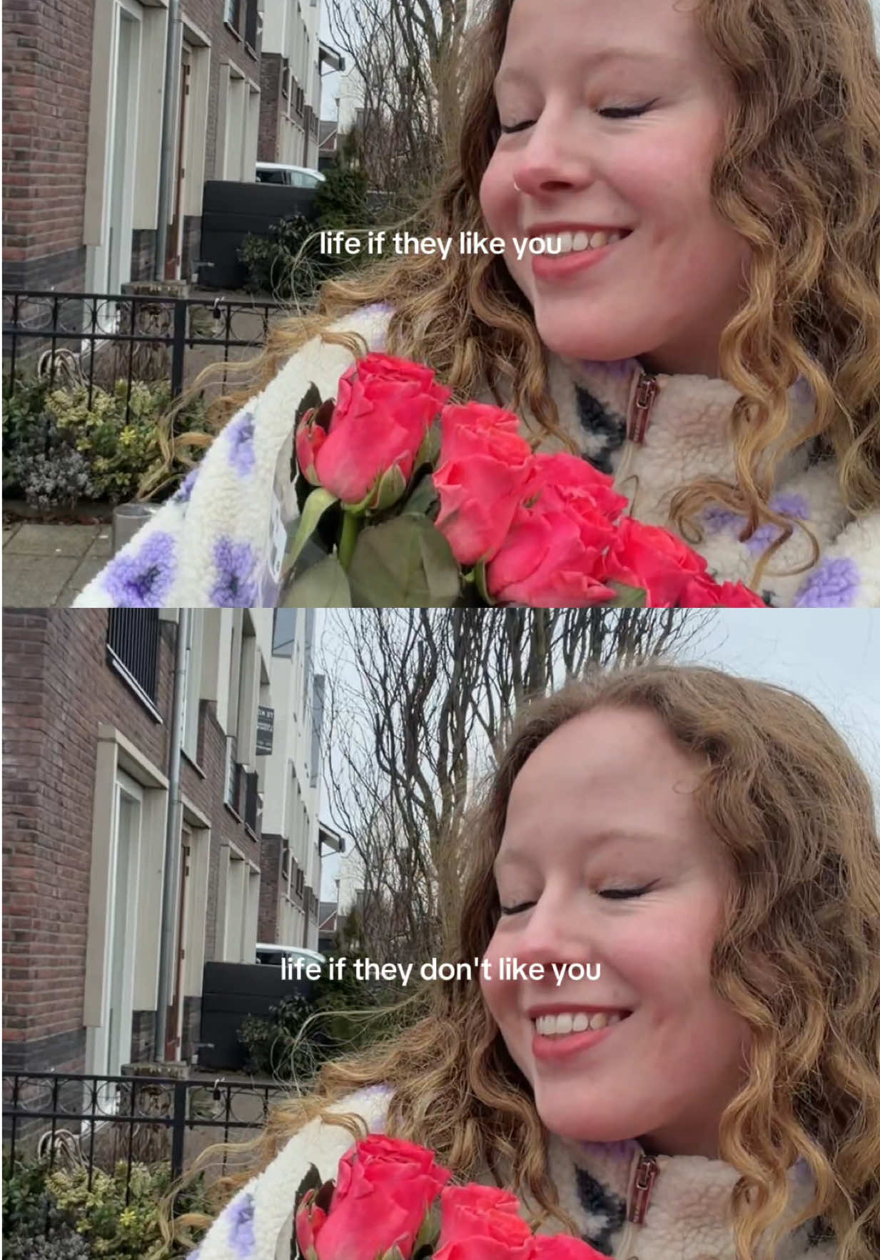 @Femke