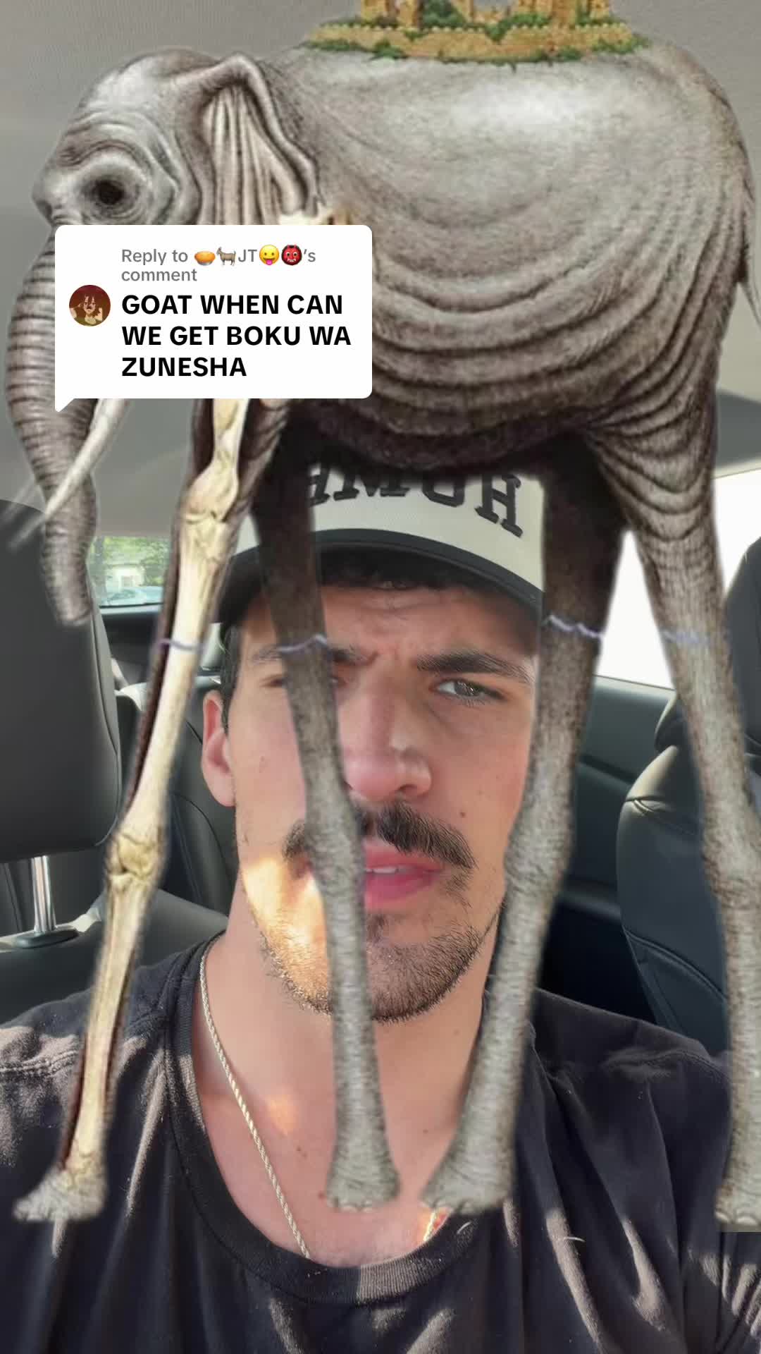 @ripingtons