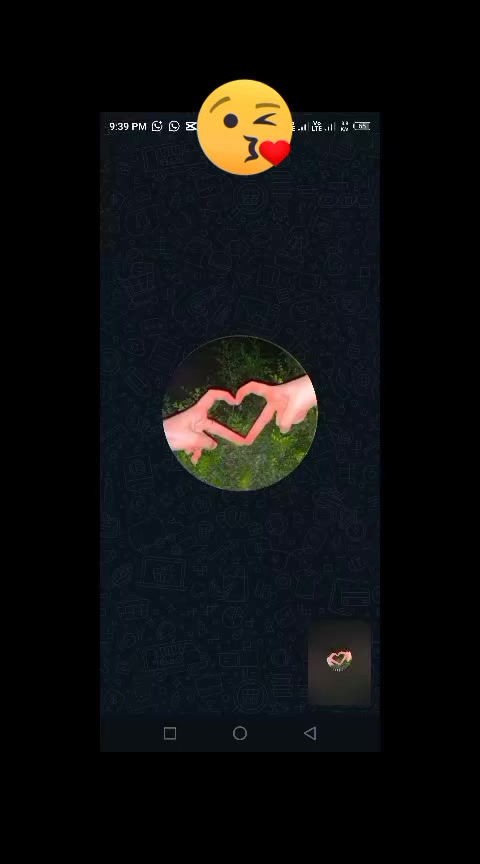 @yasraf178