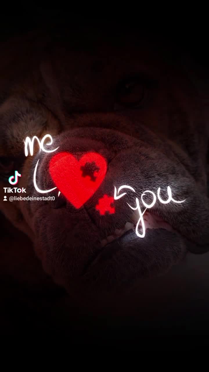 @❤️🤍LoVe_KöLn❤️🤍