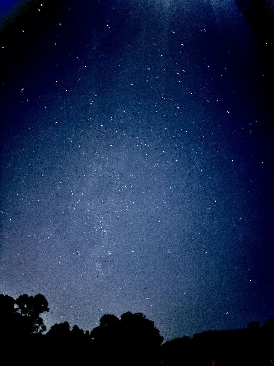 @๐๐ฌ๐ฐ๐ฆ๐ข!! ๊ณ๐ฆนห*เผ