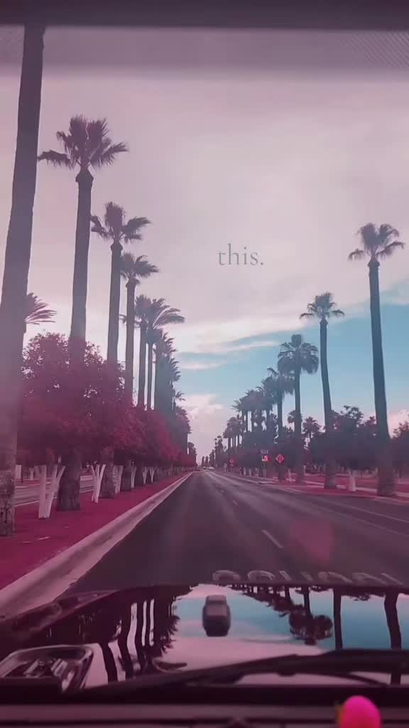 @🌵