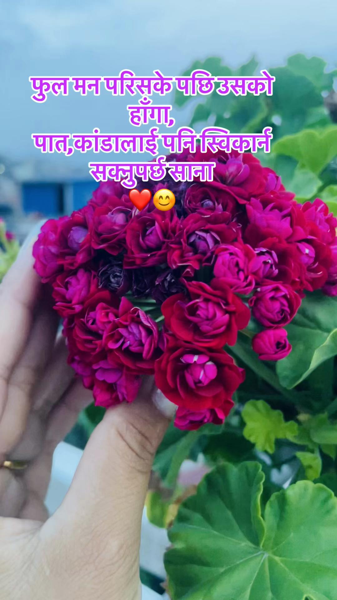 @Sa—Nu❤️✨