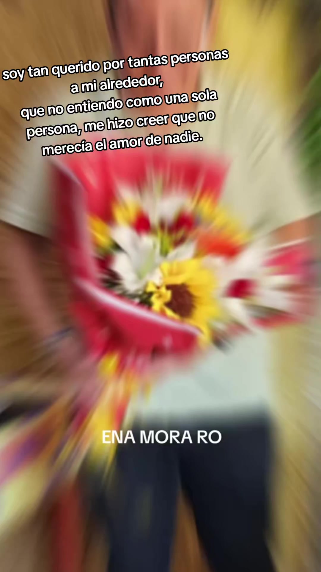 @Galindo Navarro EI