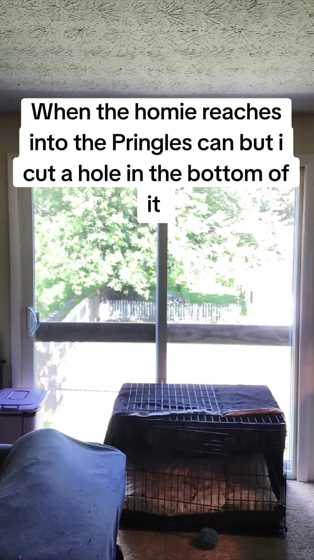 @CrazyKidSteff