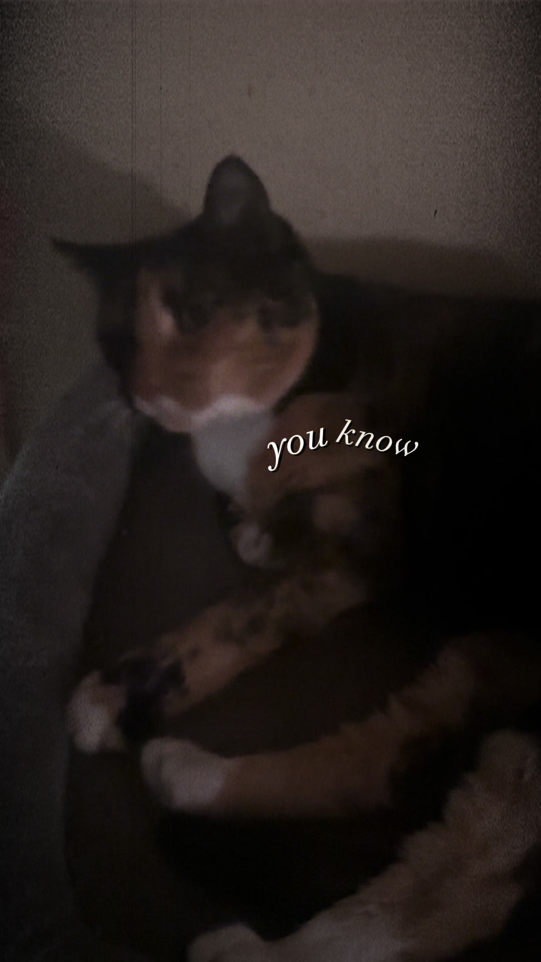 @Will
