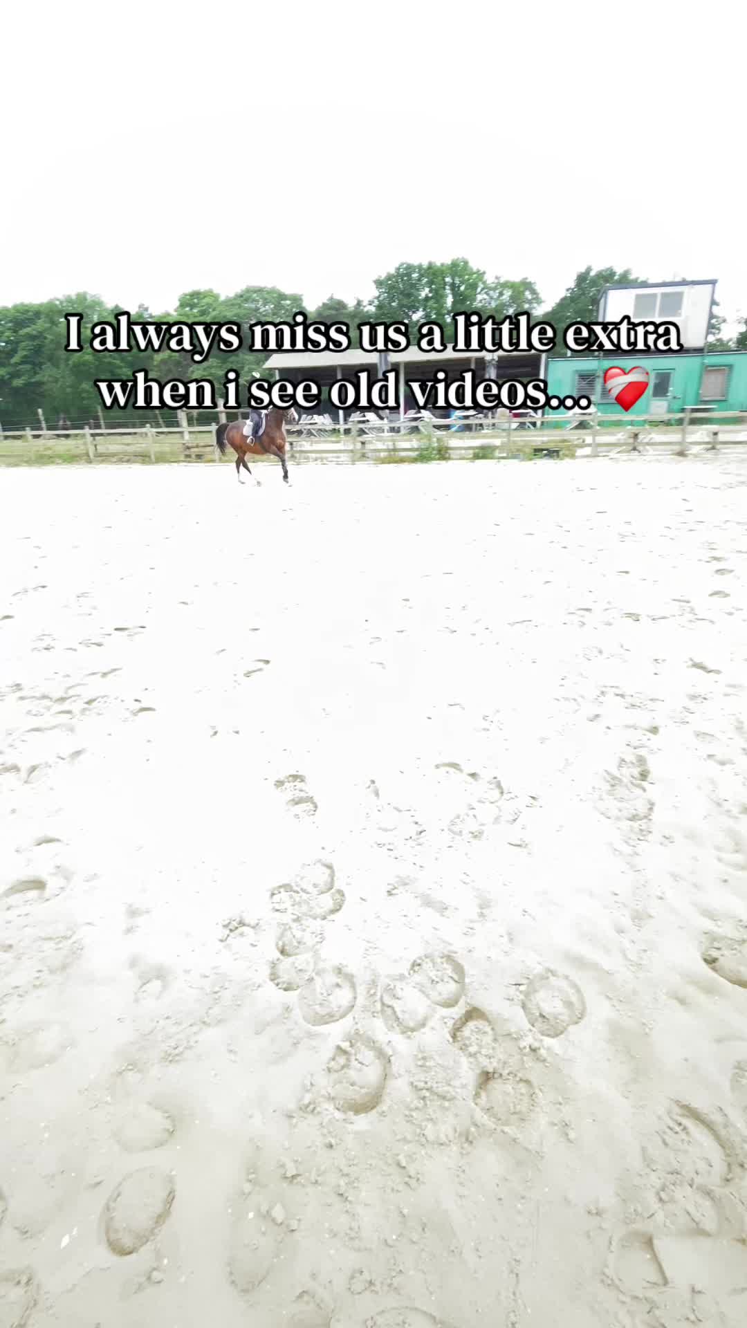 @๐๐ธ๐ต๐ฒ๐ฎ๐ท